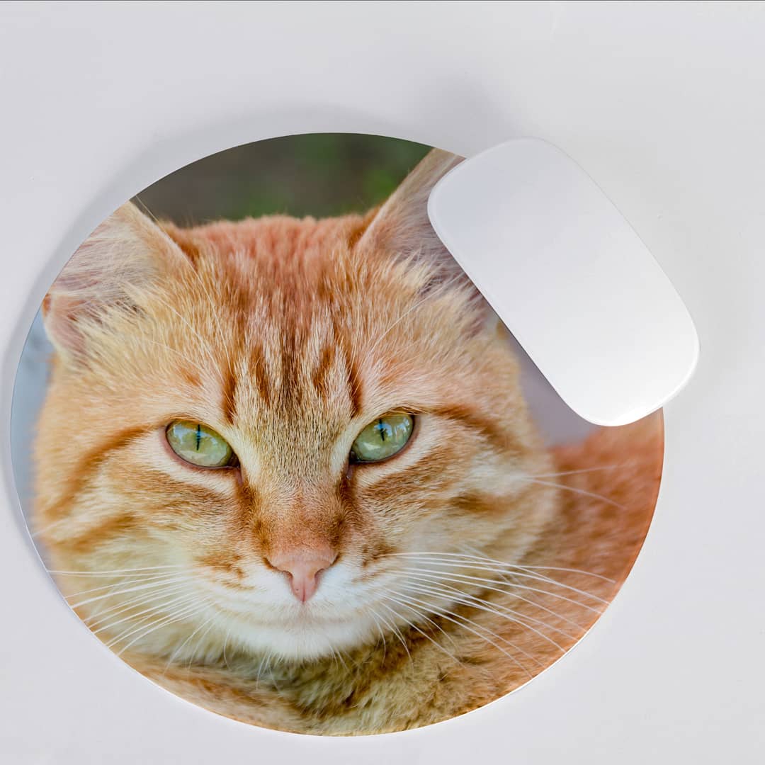 Pad Mouse Foto Mascota ENVÍO GRATIS🇨🇴