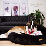 Cama Redonda 🐾  ➡️ ESTÁNDAR ⬅️ 🐾 100% LAVABLE  🇨🇴 ENVÍO GRATIS 🇨🇴 🐾