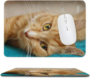 Pad Mouse Foto Mascota  ENVÍO GRATIS🇨🇴