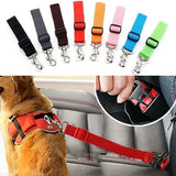 Cinturón de Seguridad Sencillo para Mascotas Ajustable para Vehículos  🇨🇴 ENVÍO GRATIS 🇨🇴