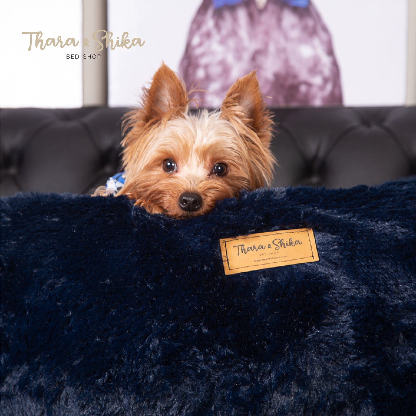 Cama Rectangular Antiestés 100% lavable