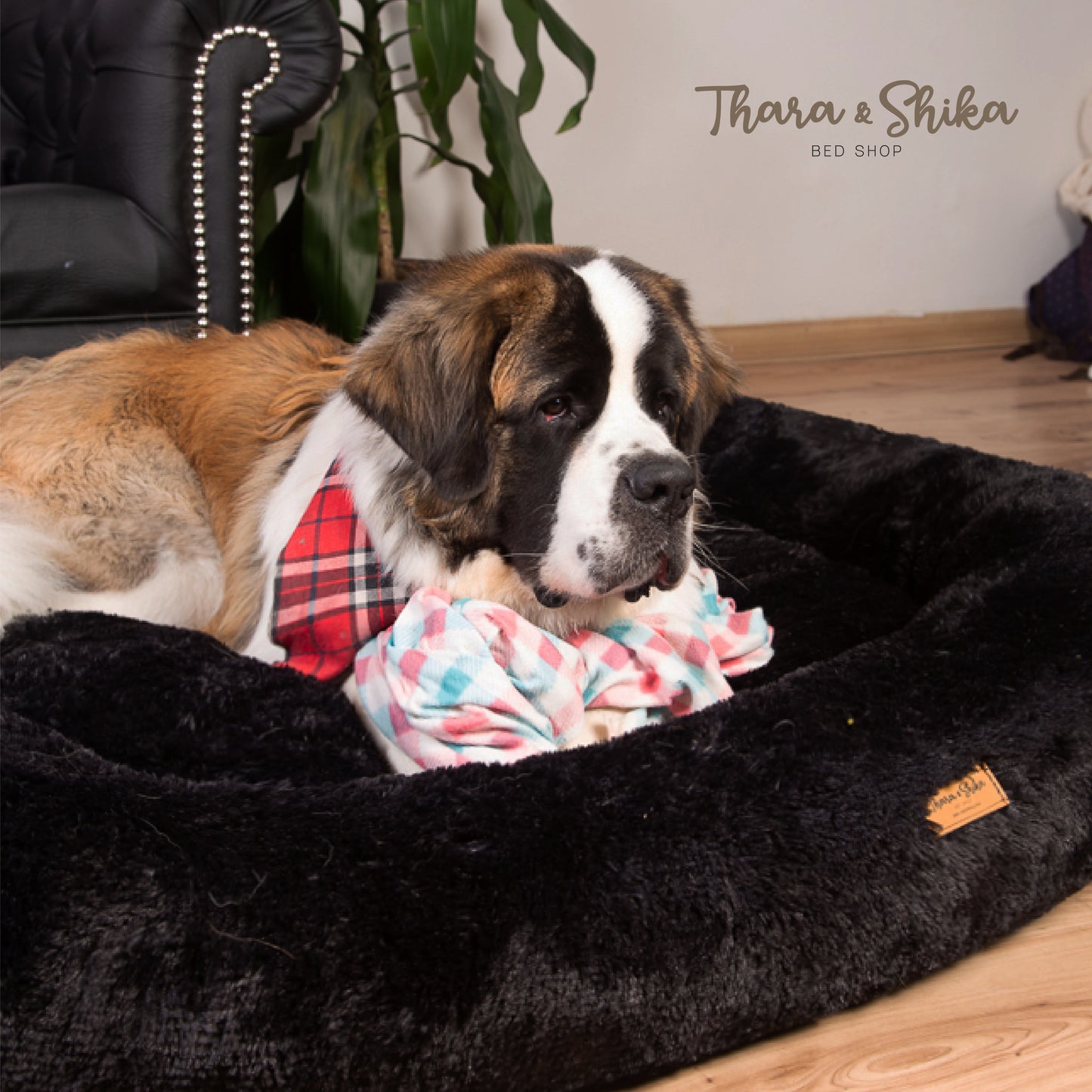 Cama Rectangular Antiestés 100% lavable